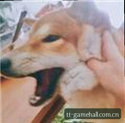 郑丽